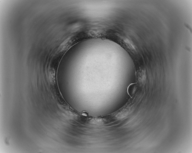 X0000094210332200710261216