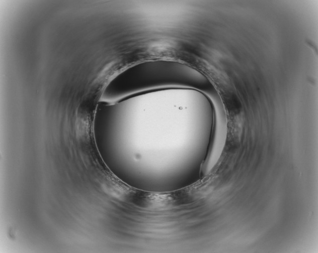 X0000094210333200710261216