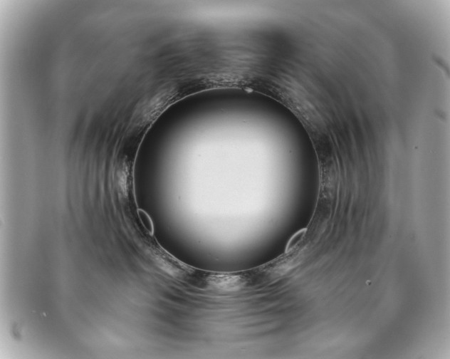 X0000094210334200710261215