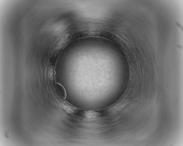 X0000094210336200710261215