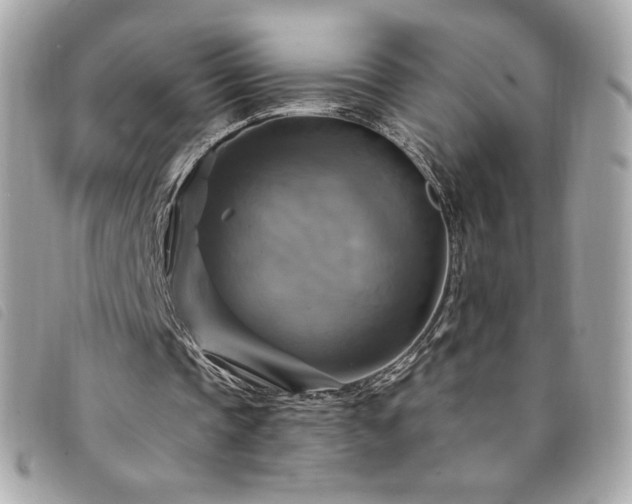 X0000094210337200710261215