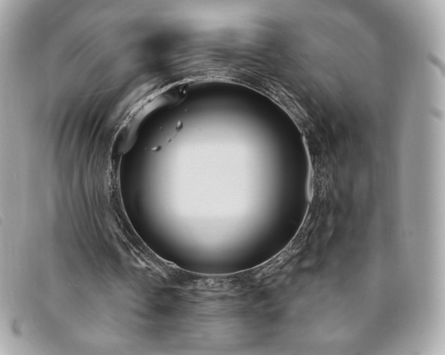 X0000094210338200710261215