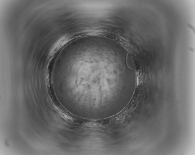 X0000094210339200710261215