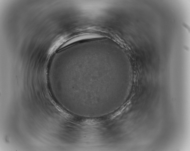 X0000094210341200710261215