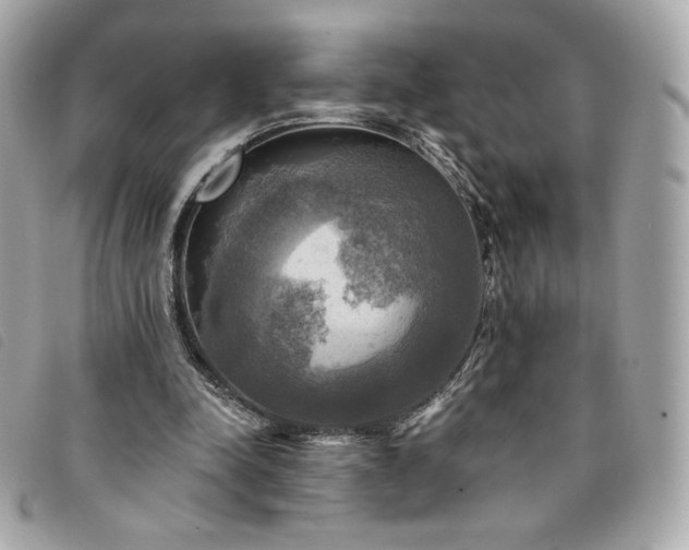 X0000094210342200710261215