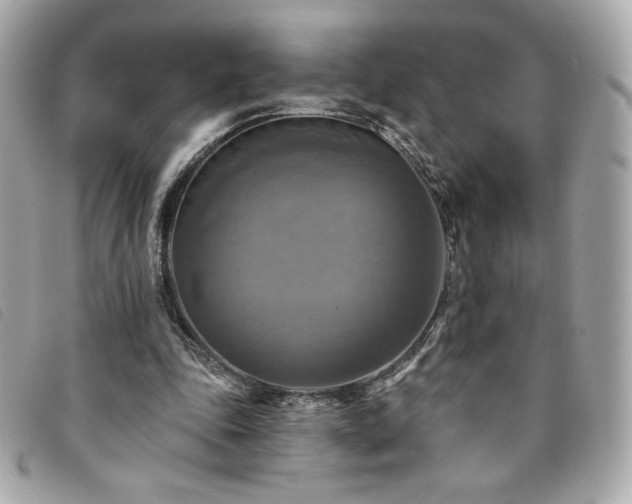 X0000094210343200710261215