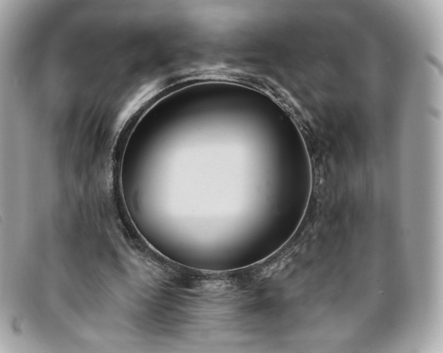 X0000094210344200710261215