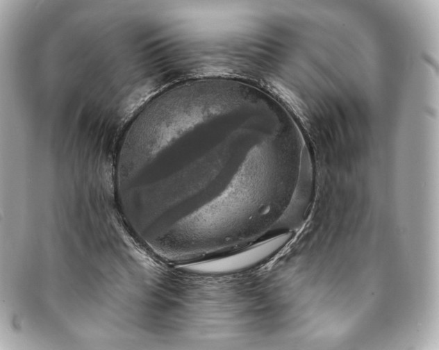 X0000094210345200710261215