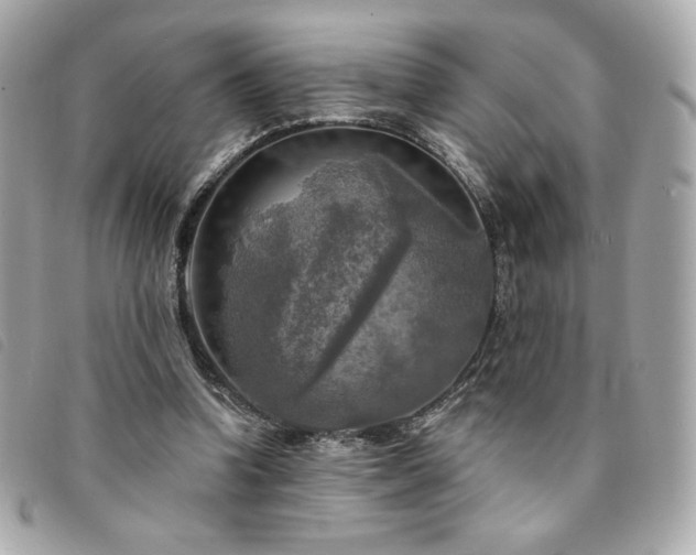 X0000094210346200710261215