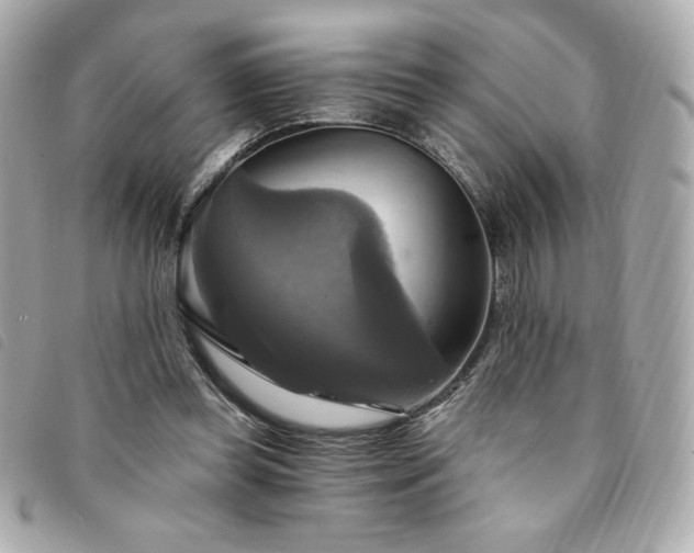 X0000094210349200710261215