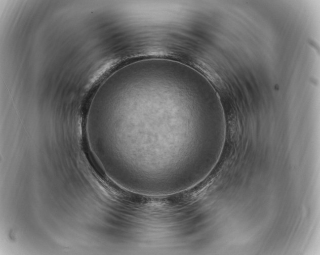 X0000094210350200710261215