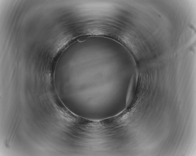 X0000094210351200710261215