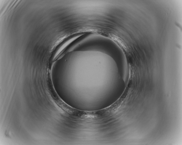 X0000094210352200710261215