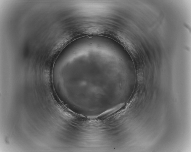 X0000094210353200710261215