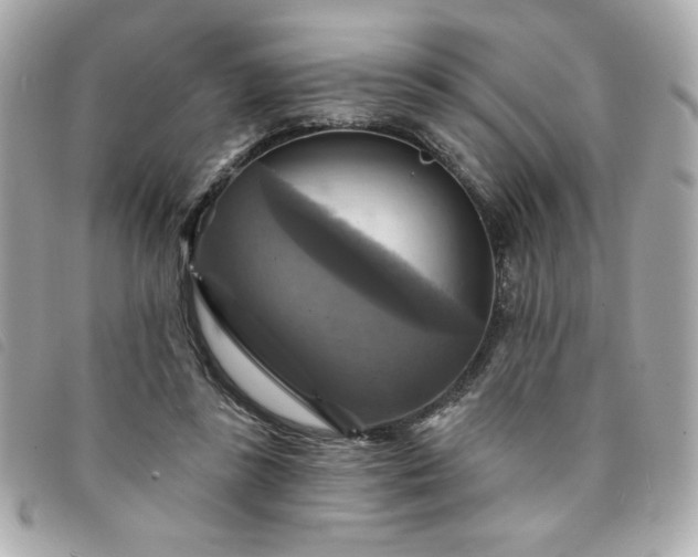X0000094210355200710261215
