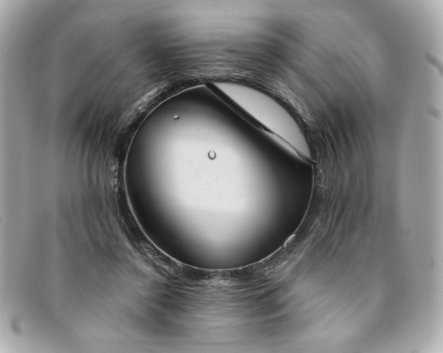 X0000094210356200710261215