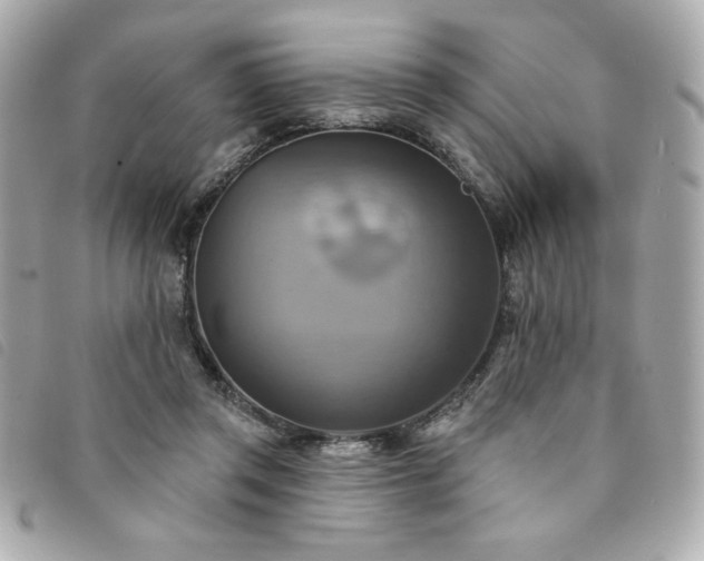 X0000094210357200710261215