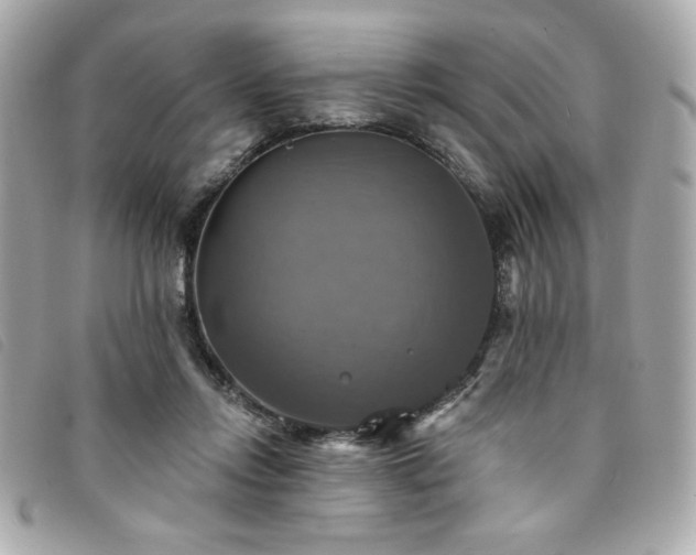 X0000094210358200710261215