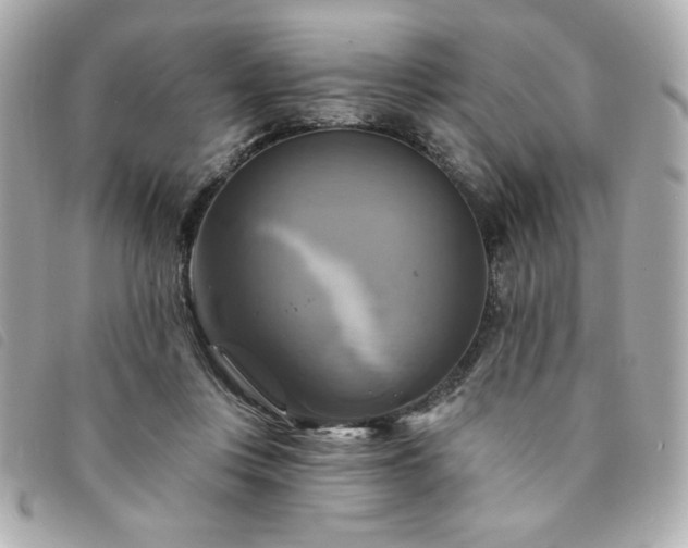 X0000094210359200710261215