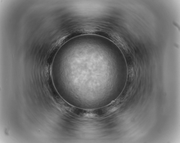 X0000094210360200710261215