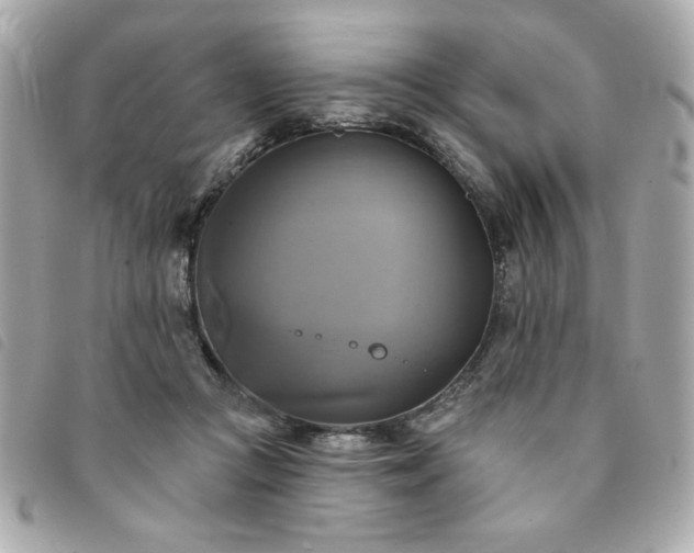 X0000094210361200710261215