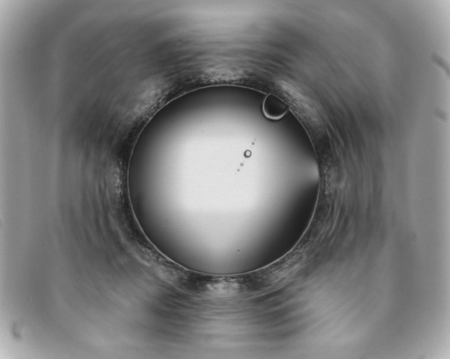 X0000094210362200710261215