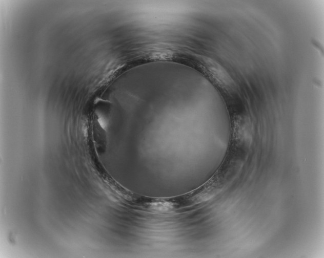 X0000094210363200710261215