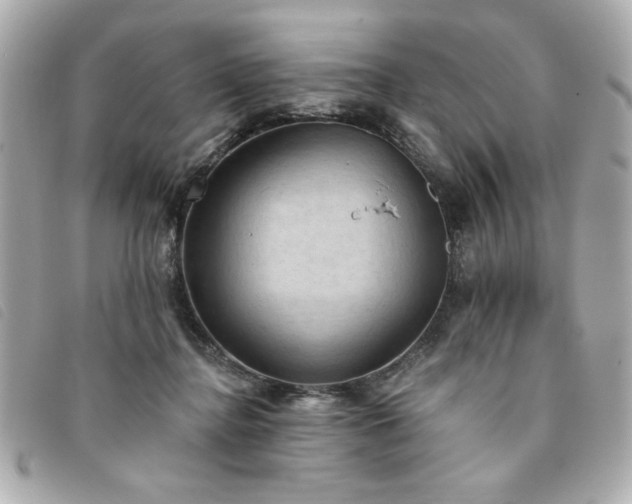 X0000094210364200710261215