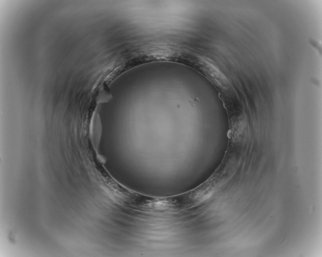 X0000094210365200710261215