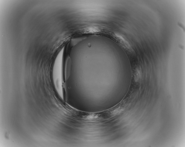 X0000094210366200710261215