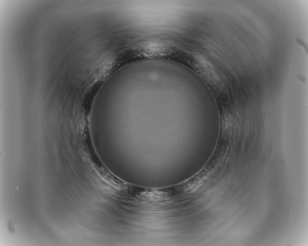 X0000094210367200710261215