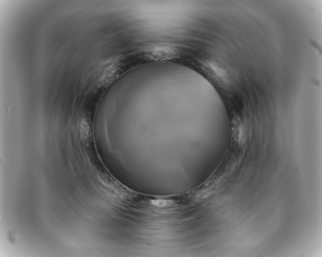X0000094210371200710261215