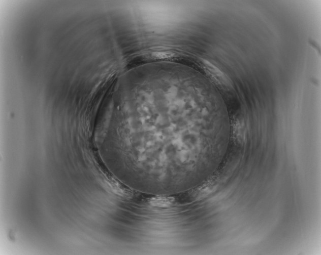 X0000094210373200710261215