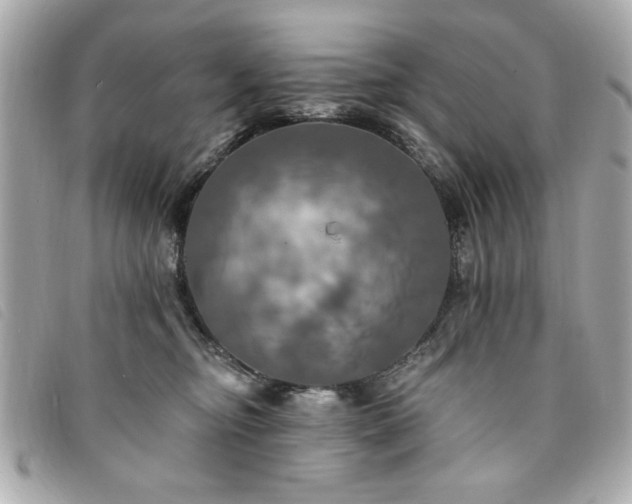 X0000094210374200710261215