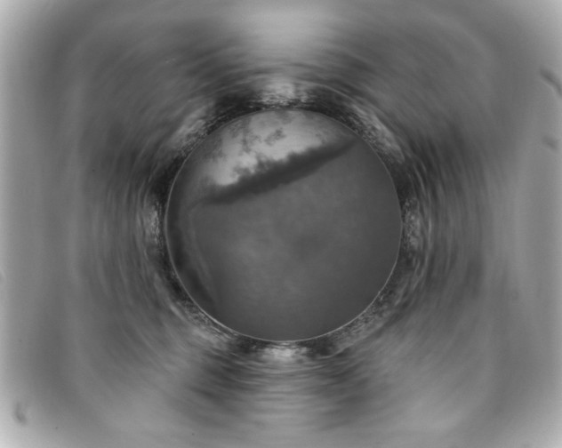 X0000094210375200710261215