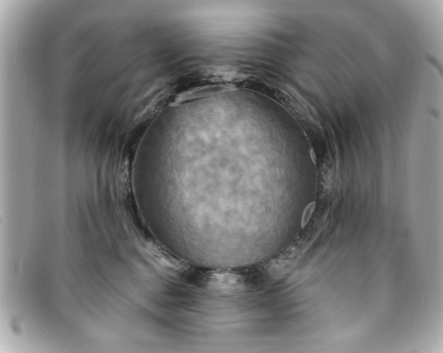 X0000094210376200710261215