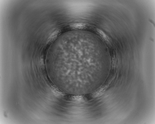 X0000094210377200710261215