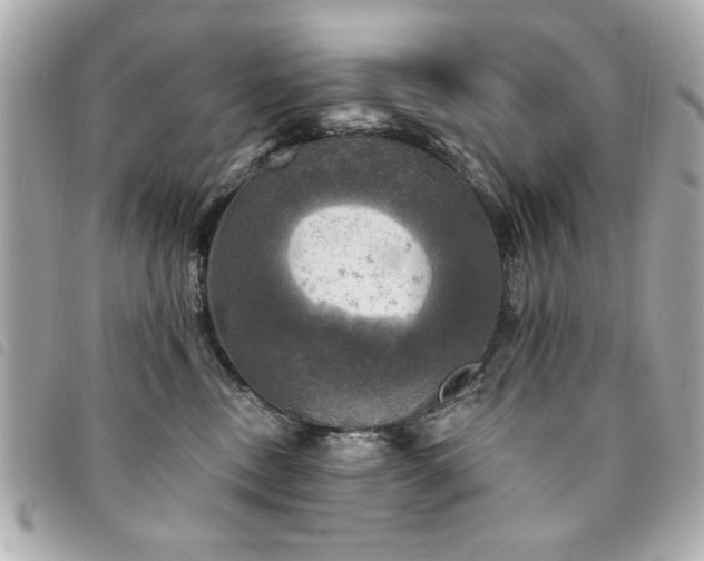 X0000094210378200710261215