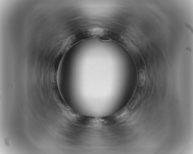 X0000094210379200710261215