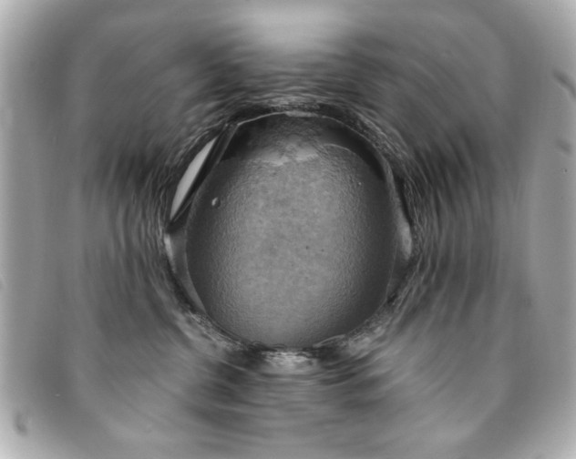 X0000094210380200710261215