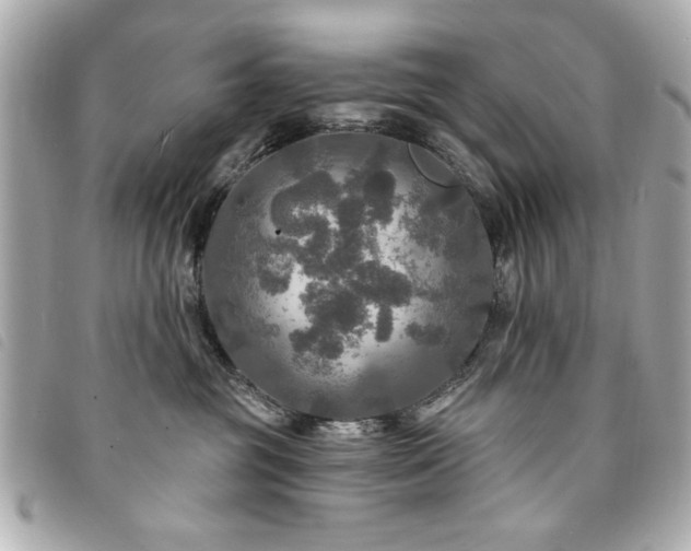 X0000094210381200710261215