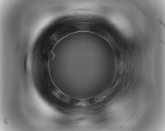 X0000094210383200710261215
