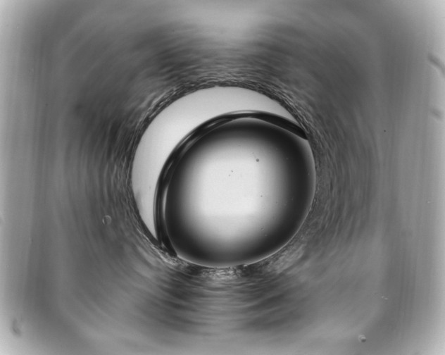 X0000094210384200710261215