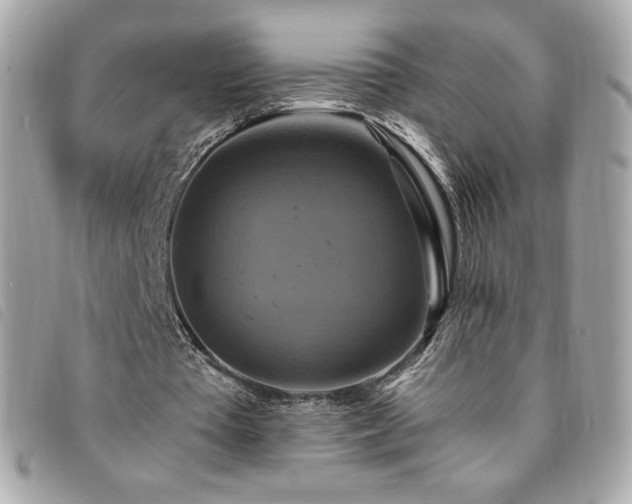 X0000094210385200710261215