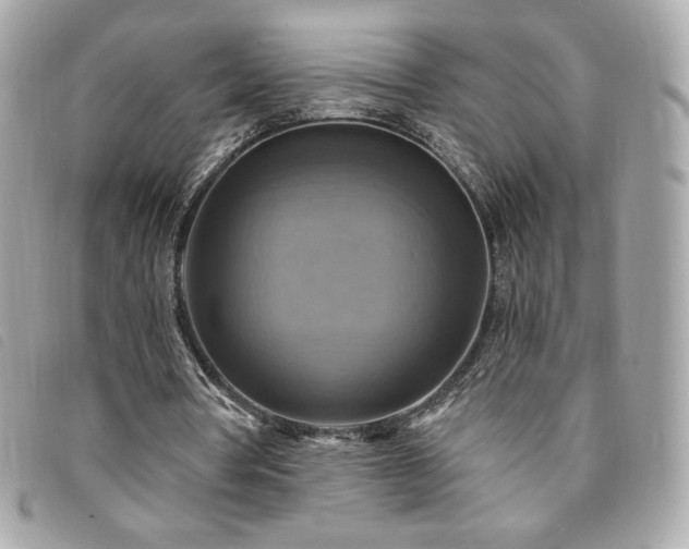 X0000094210386200710261215
