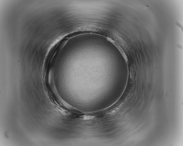 X0000094210388200710261215