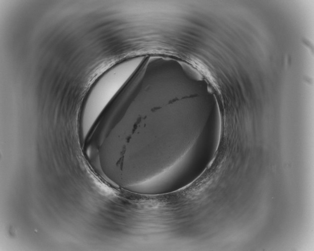 X0000094210389200710261215