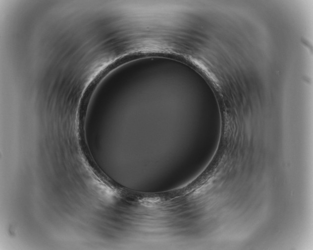 X0000094210391200710261215