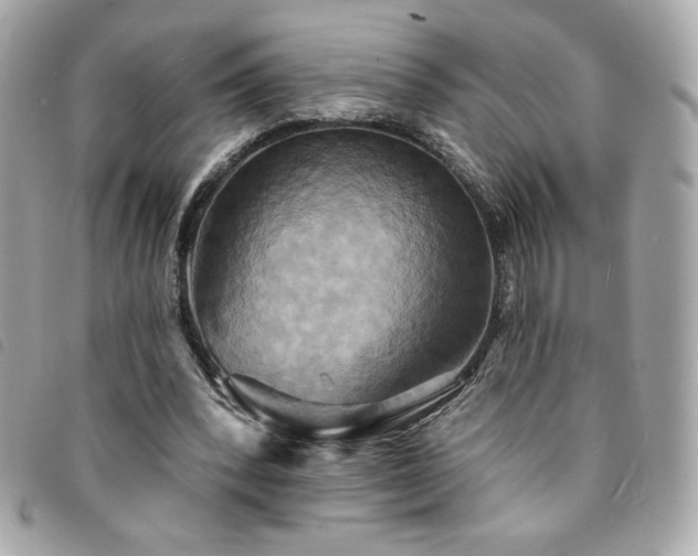 X0000094210392200710261215