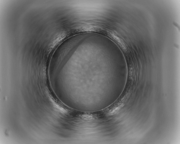 X0000094210394200710261215